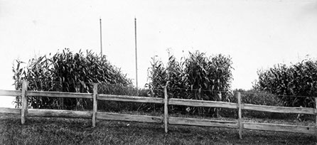 Texts and articles about electroculture